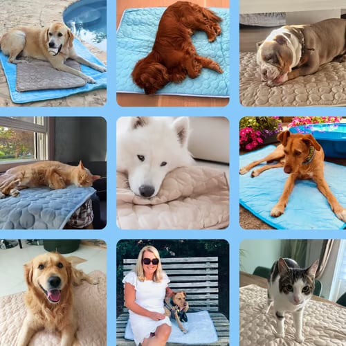 CoolPetz™ Mata chłodząca dla psa