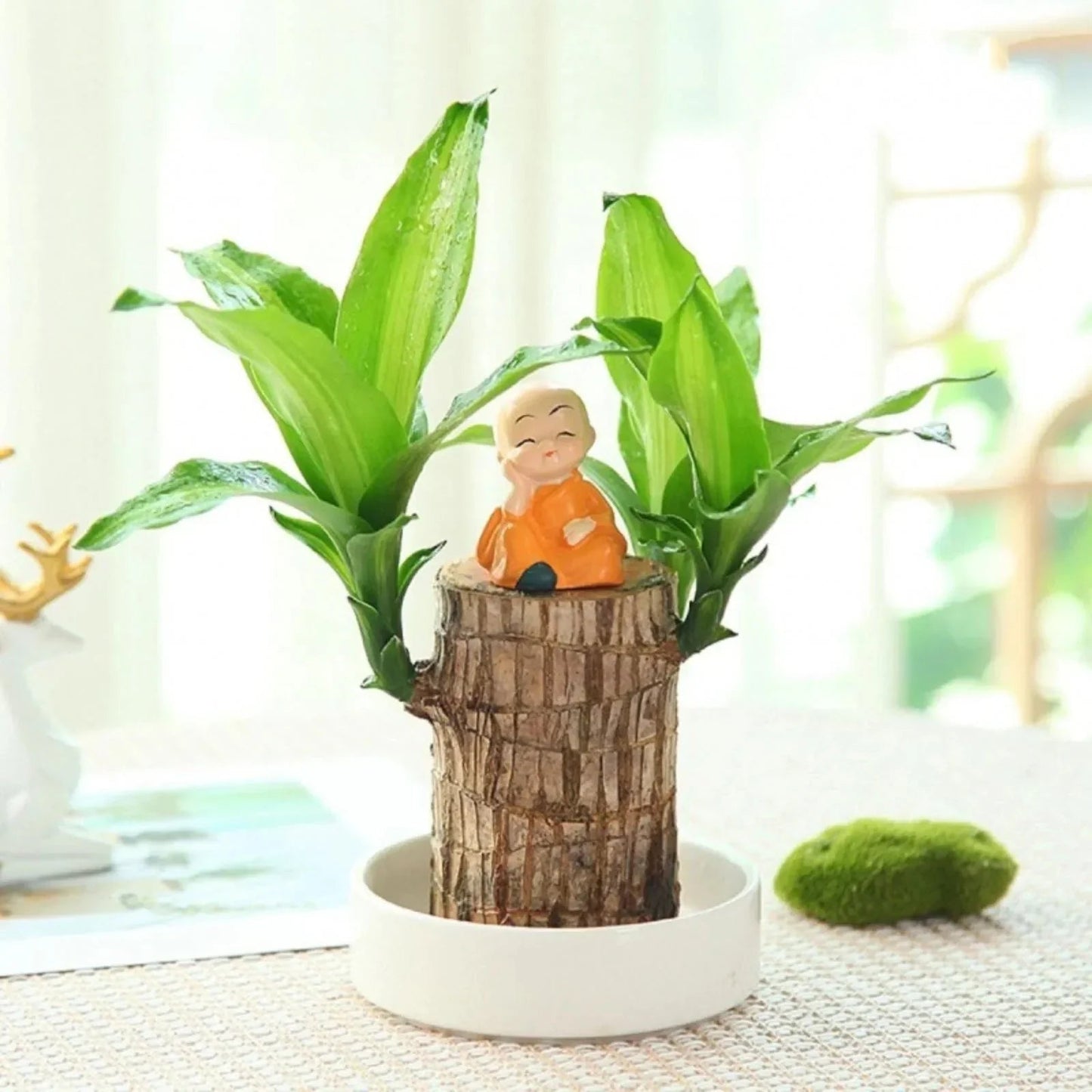 LuckyWood™ Roślina w drewnianej doniczce
