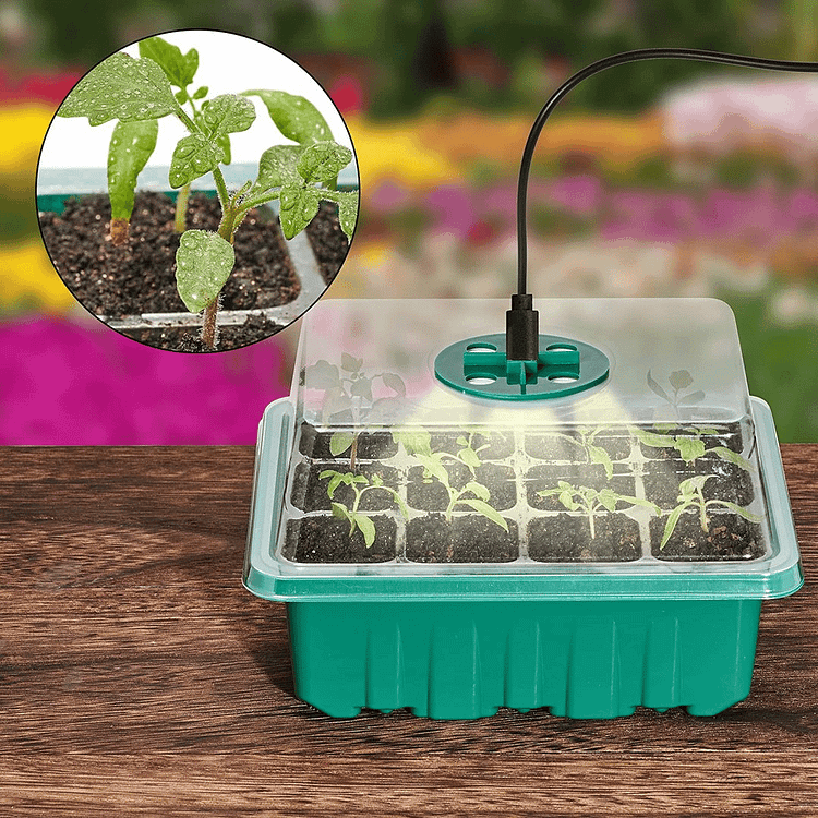 PlantPod™ Mini szklarnia do rozsady z regulacją wilgotności (12 otworów)