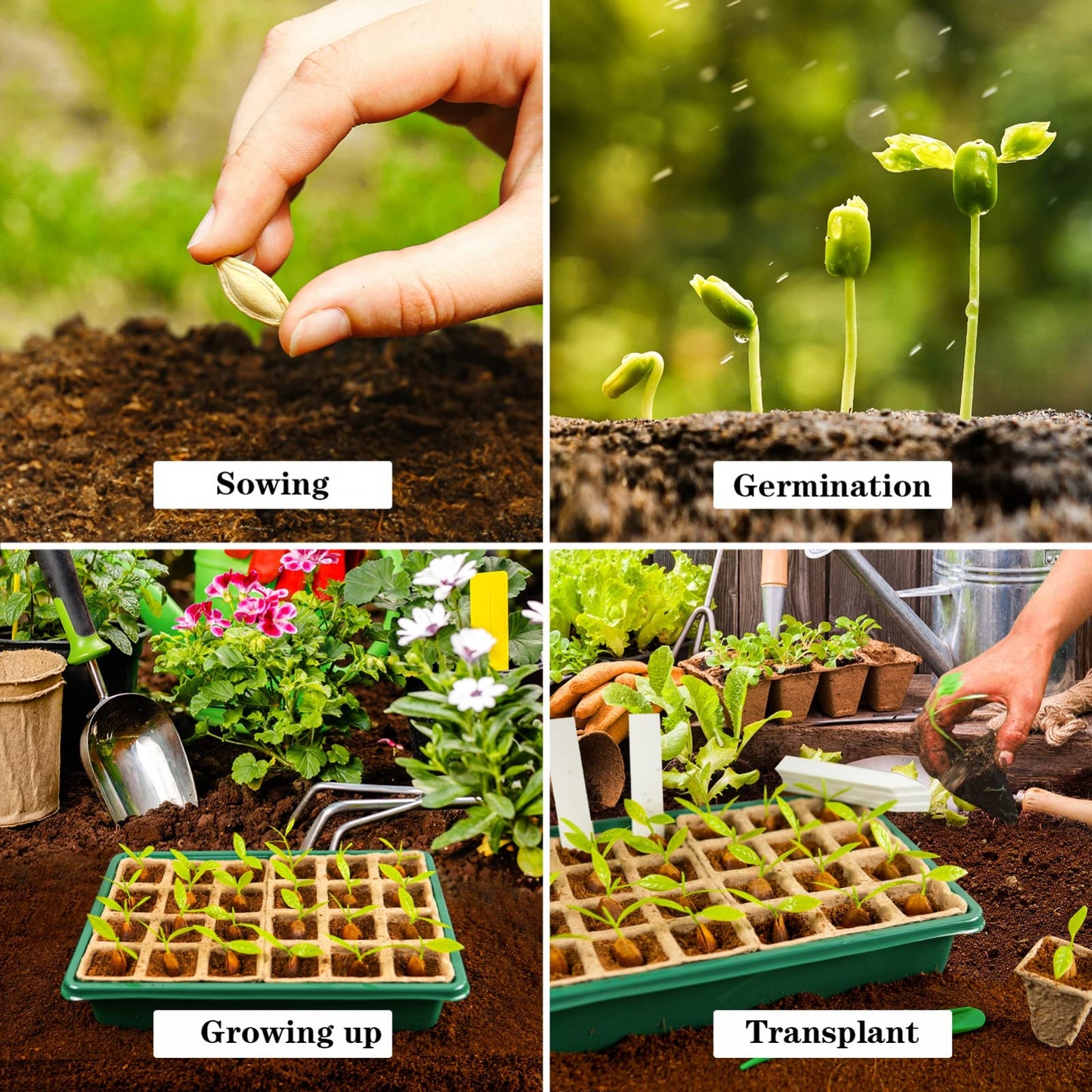 PlantPod™ Mini szklarnia do rozsady z regulacją wilgotności (12 otworów)